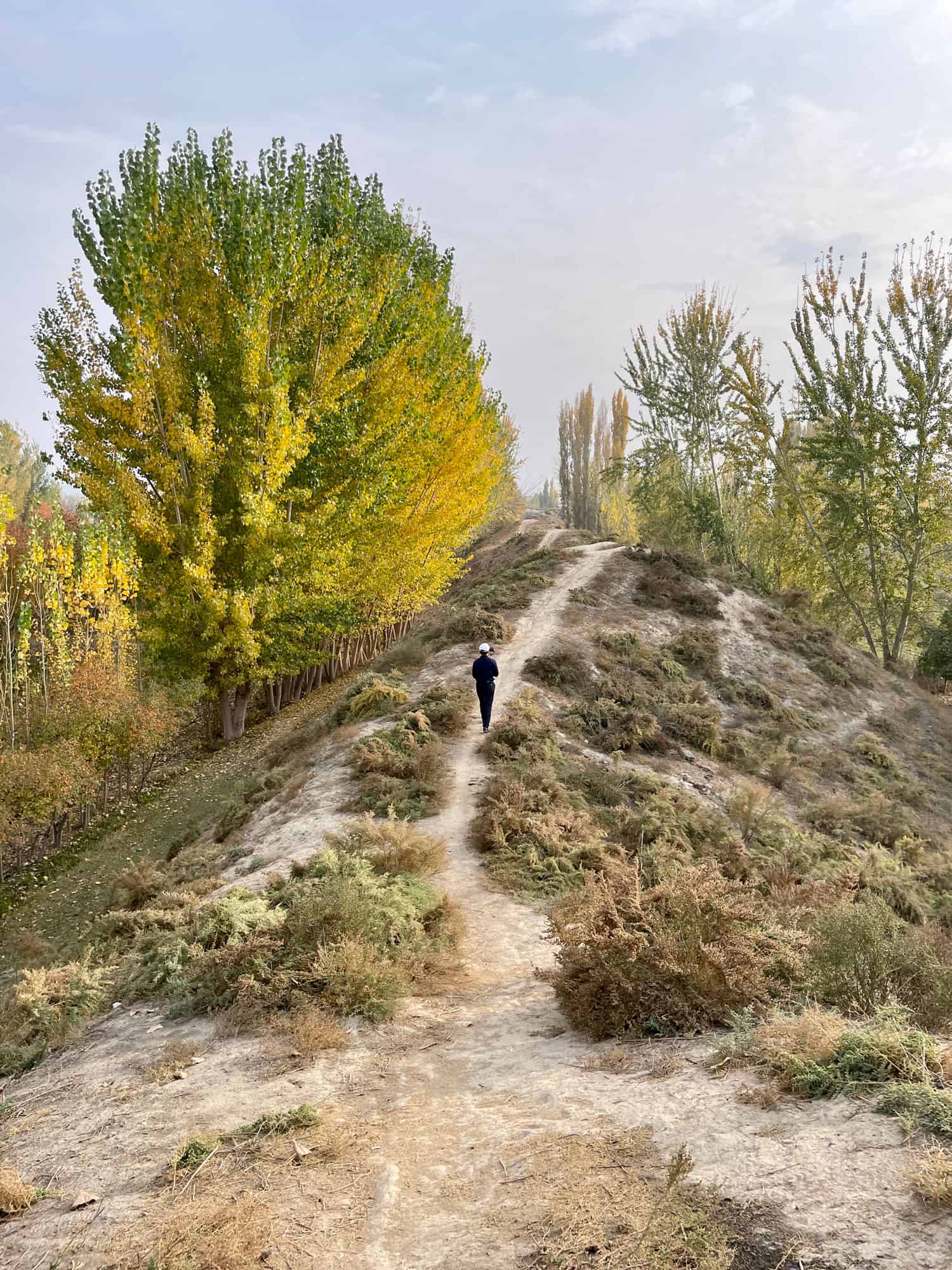 Mingtepa archeological site in Marhamat - Andijan Region, Fergana Valley, Uzbekistan